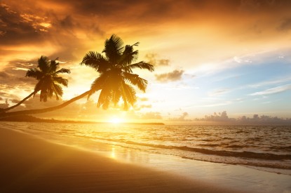 Caribbean, Caribbean Sea, Beach, Sunset, Palm trees, HD, 2K, 4K, 5K