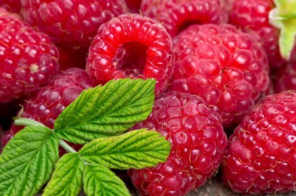 Raspberry, Raspberry Fruits, Leaf, Raspberries, HD, 2K, 4K