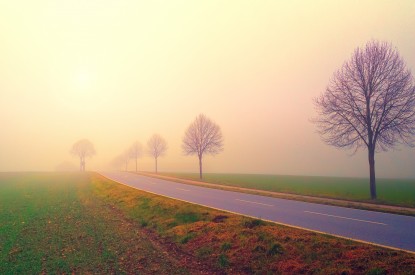Sunrise, Morning, Sunrise, Morning fog, Dawn, Landscape, Foggy, Trees, HD, 2K, 4K, 5K