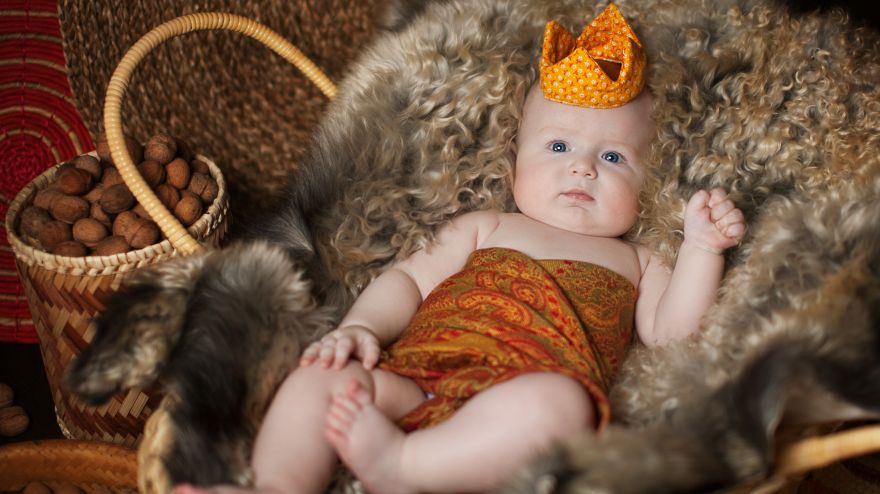 Cute, Cute baby boy, Fur basket, Crown, HD, 2K, 4K