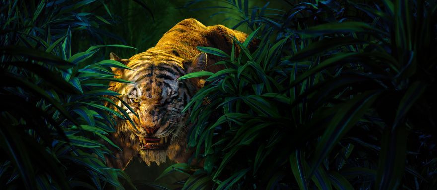 Jungle, Jungle Book, Shere Khan, HD, 2K, 4K
