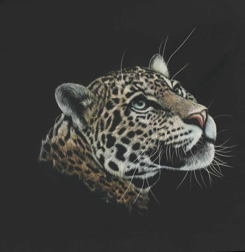 Leopard, Paint, Dark, Leopard, Paint, Dark, HD, 2K