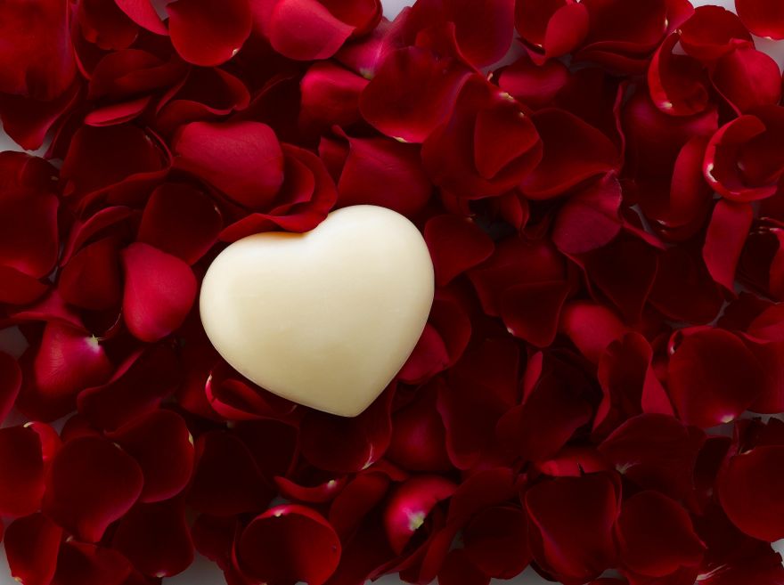 Love, Love heart, Rose petals, HD, 2K