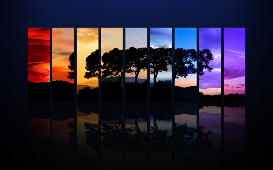 Spectrum, Tree, Colorful, Dawn, Dusk, Twilight, Sunrise, Sunset, Spectrum, Tree, Colorful, Dawn, Dusk, Twilight, Sunrise, Sunset, HD, 2K