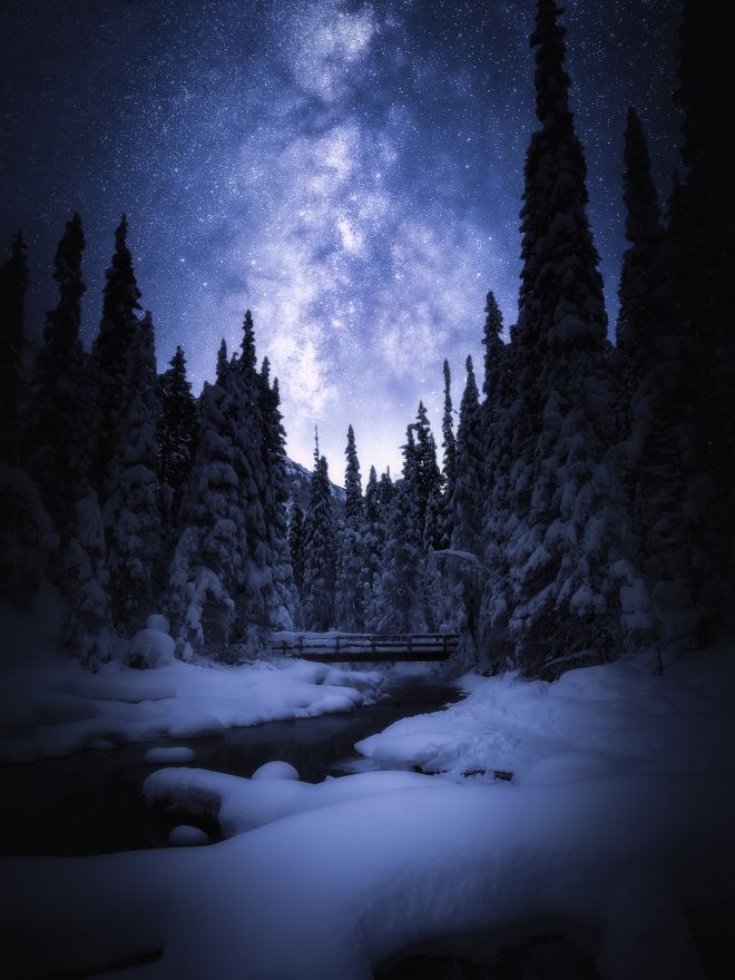 Starry, Starry sky, Night, Banff National Park, Winter, Pine trees, Snow, HD, 2K, 4K