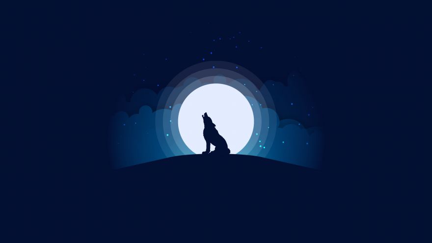 Wolf, Moon, Silhouette, Illustration, Wolf, Moon, Silhouette, Illustration, HD, 2K